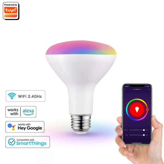 Aubess Tuya WiFi BR30 Smart Bulb 13W | Voice Control