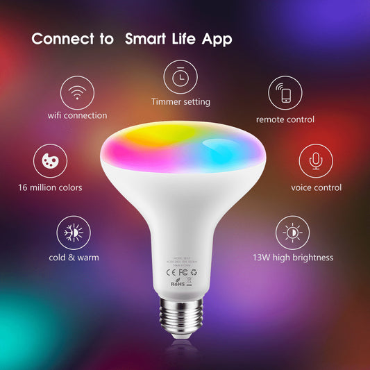 Aubess Tuya WiFi BR30 Smart Bulb 13W | Voice Control